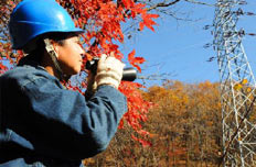 送電檢修班工人呂清森:執(zhí)著的堅守