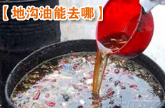 地溝油引熱議 每年350萬噸回流餐桌