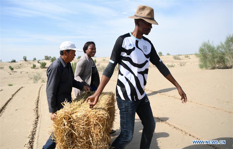 CHINA-GANSU-DESERTIFICATION COMBAT-AFRICAN STUDENT (CN)