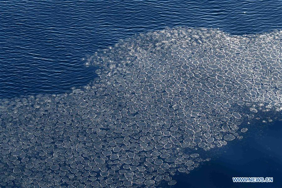 ANTARCTICA-CHINA-XUELONG-ANIMAL (CN)