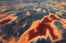 全國(guó)污染地塊至少30萬(wàn)塊 絕大多數(shù)未被修復(fù)