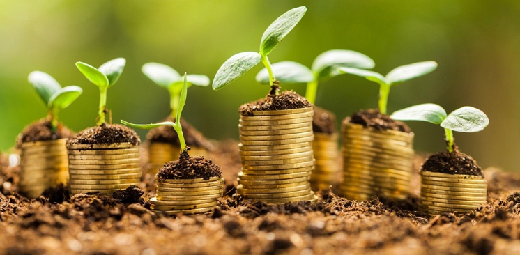 新三板遇成長&ldquo;煩惱&rdquo;：  市場流動性低迷 一日僅兩成企業有成交