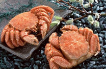 中秋團(tuán)圓家宴必吃的15道應(yīng)景菜(圖)