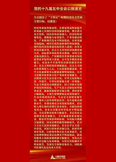 全會提出了&ldquo;十四五&rdquo;時期經濟社會發展主要目標