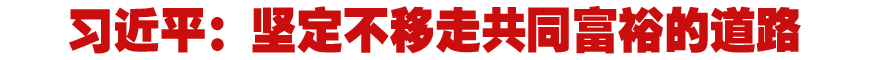 習(xí)近平:堅(jiān)定不移走共同富裕的道路