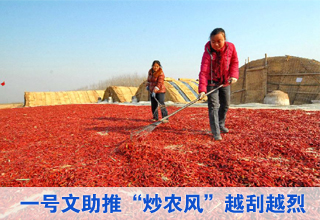 “一號文”倒計時 “炒農(nóng)風(fēng)”進行式