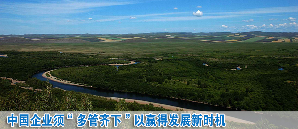 中國企業(yè)須“多管齊下”以贏得發(fā)展新時機