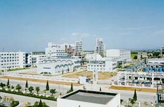 巨化集團:老國企煥發(fā)新生機