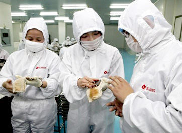 充滿現代氣息的車間