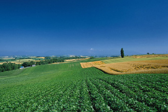 新聞背景:第二次全國土地調查