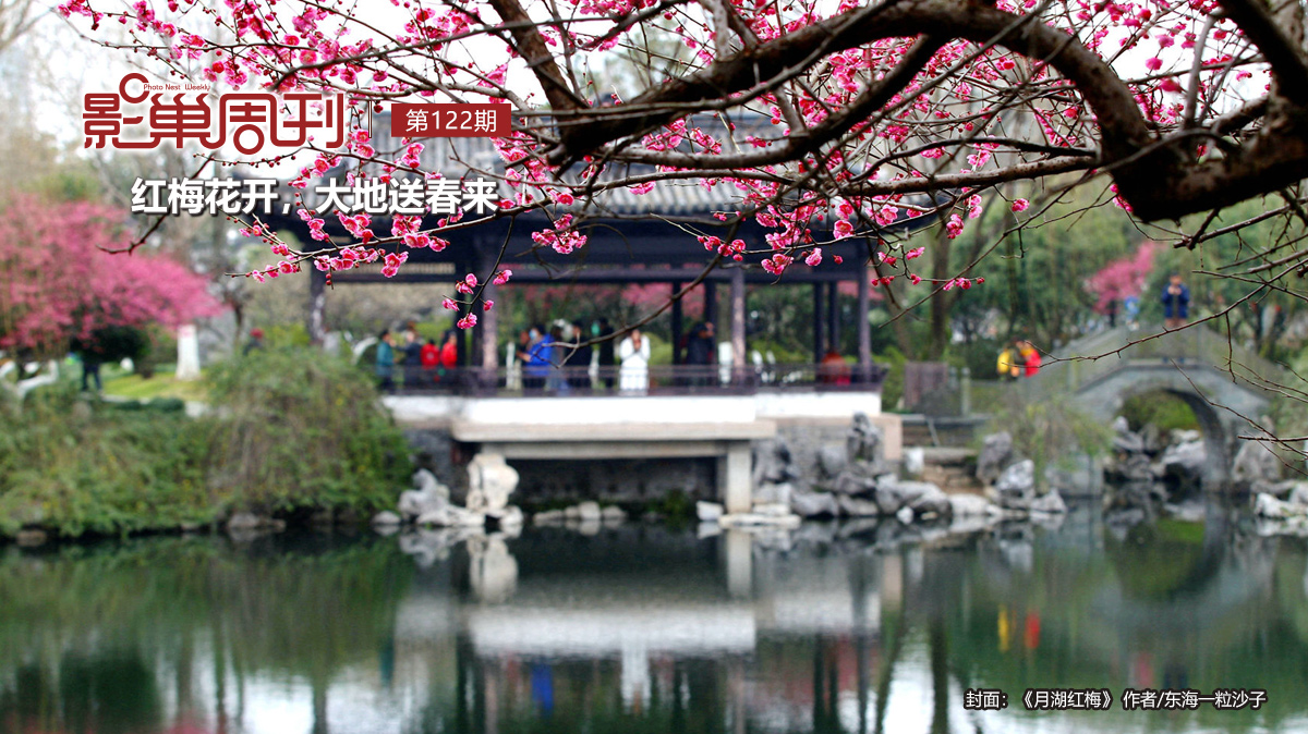 【影巢周刊】紅梅花開，大地送春來(lái)