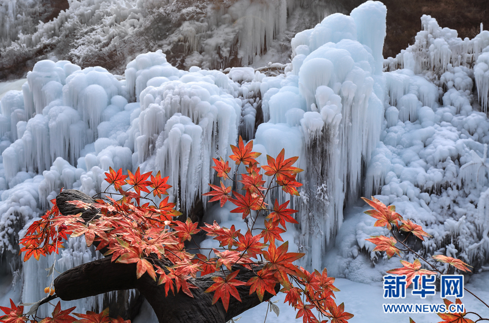 冬天的符號(hào)