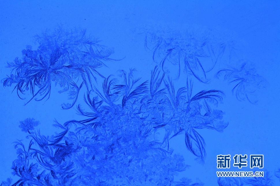 忽如一夜寒冬來(lái)，千家萬(wàn)戶窗花開(kāi)