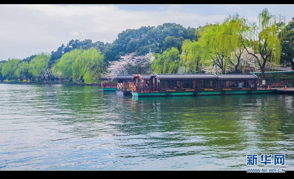 聽(tīng)風(fēng)西湖柳，聞香龍井茶