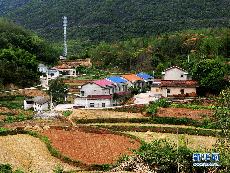 湘北八月山鄉隨拍