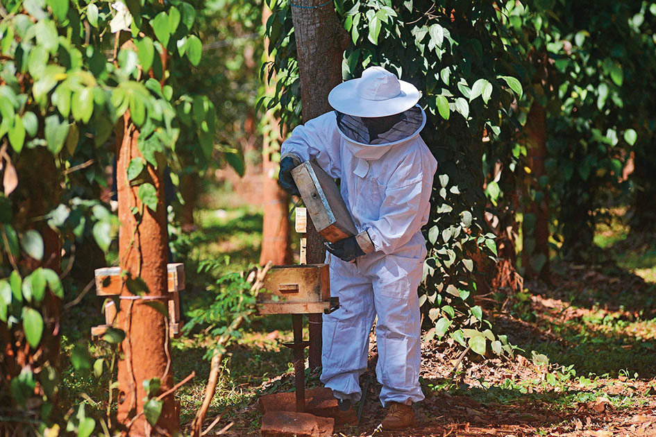 印度駛入AI小模型賽道