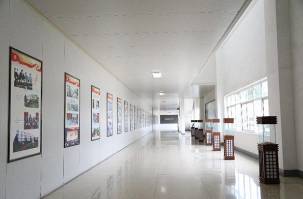 從&ldquo;弘揚中醫文化&rdquo;到&ldquo;推動產業發展&rdquo;&mdash;&mdash; &ldquo;醫圣故里&rdquo;南陽中醫藥發展工作見聞