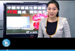 權威聲音：&ldquo;快時代&rdquo;究竟還有什么可以速成？