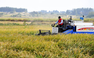 40年，小崗人的18個&ldquo;第一次&rdquo;