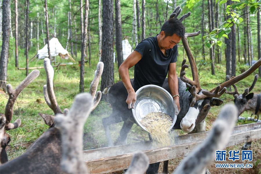【聚焦脫貧攻堅】這組數字，來之不易