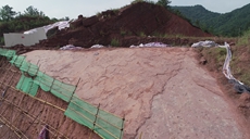 &ldquo;恐龍舞池&rdquo;現身福建上杭