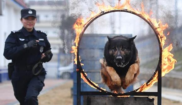 劉慧和&ldquo;威利&rdquo;