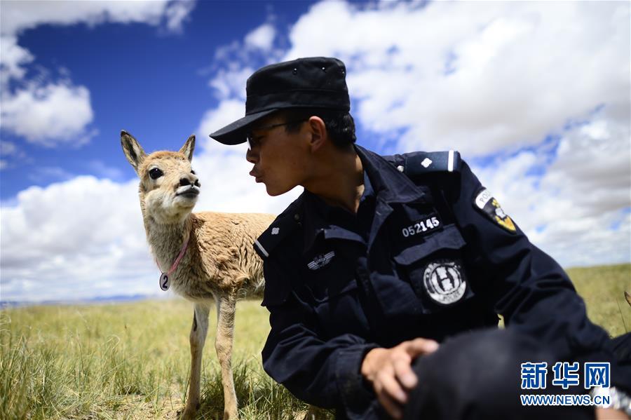 （十九大&middot;讀報(bào)告 話民生）（8）加快生態(tài)文明體制改革，建設(shè)美麗中國(guó)