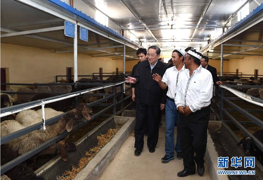 9月27日，中共中央政治局常委、全國政協主席、中央代表團團長俞正聲率中央代表團部分成員赴喀什地區莎車縣看望各族干部群眾。這是俞正聲在新疆生產建設兵團第三師莎車農場實地察看萬只羊養殖基地。新華社記者 饒愛民 攝