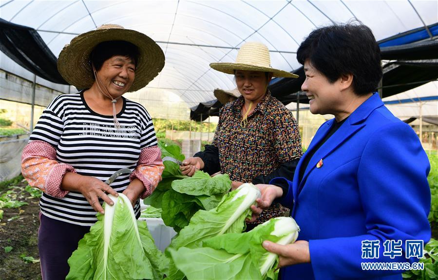 （十九大代表在基層&middot;圖文互動）（3）沈騰香：保護好綠水青山 圓鄉親們小康夢