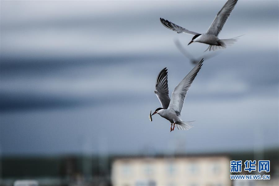 （圖文互動）（10）奏響新時代偉大復興的壯麗樂章&mdash;&mdash;寫在&ldquo;中國夢&rdquo;提出五周年之際