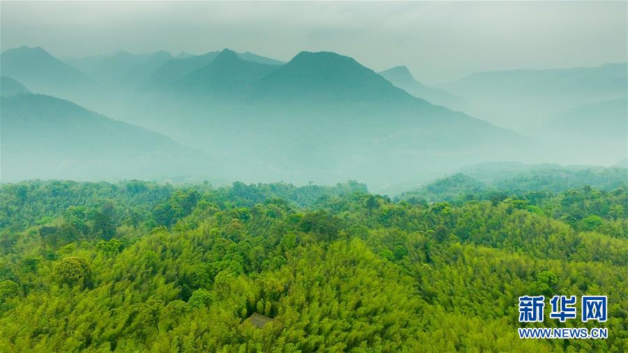 （新華全媒頭條&middot;圖文互動）（9）赤水：別了，貧困！