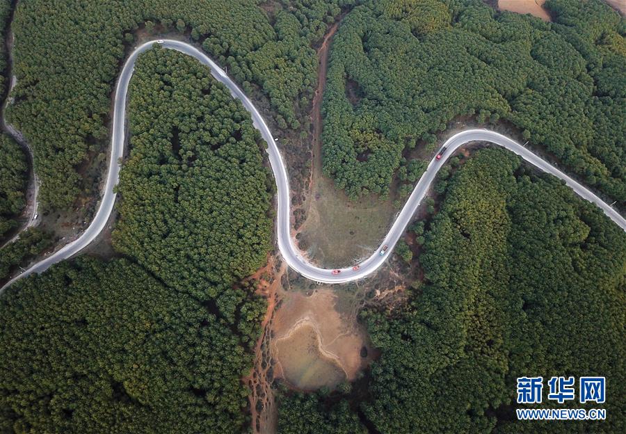 （圖文互動(dòng)）（4）貴州沙子坡林場(chǎng)：三代護(hù)林員守護(hù)一片&ldquo;林海&rdquo;