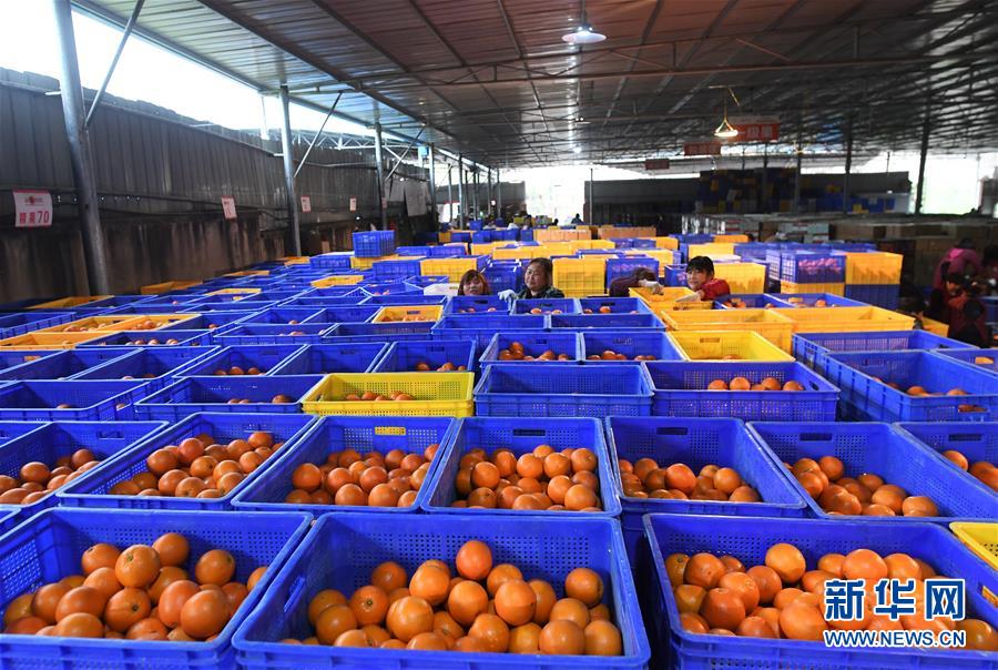 （新華全媒頭條&middot;習(xí)近平新時(shí)代中國特色社會(huì)主義思想在基層&middot;改革發(fā)展新氣象&middot;圖文互動(dòng)）（5）改革創(chuàng)新潮涌動(dòng) 激活發(fā)展新引擎