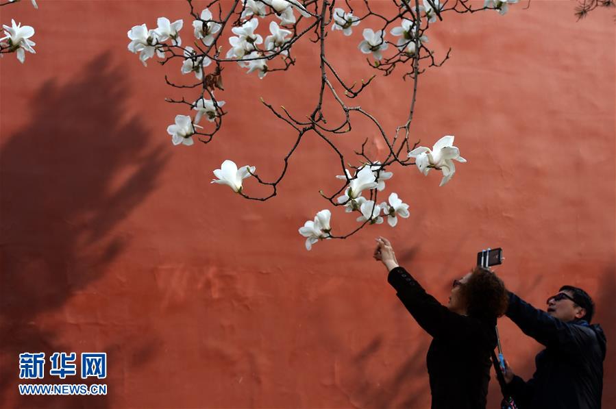 （在習近平新時代中國特色社會主義思想指引下&mdash;&mdash;新時代新氣象新作為&middot;新華全媒頭條&middot;圖文互動）（1）最濃是這中國紅&mdash;&mdash;北京市西城區弘揚紅墻意識深化改革發展紀實
