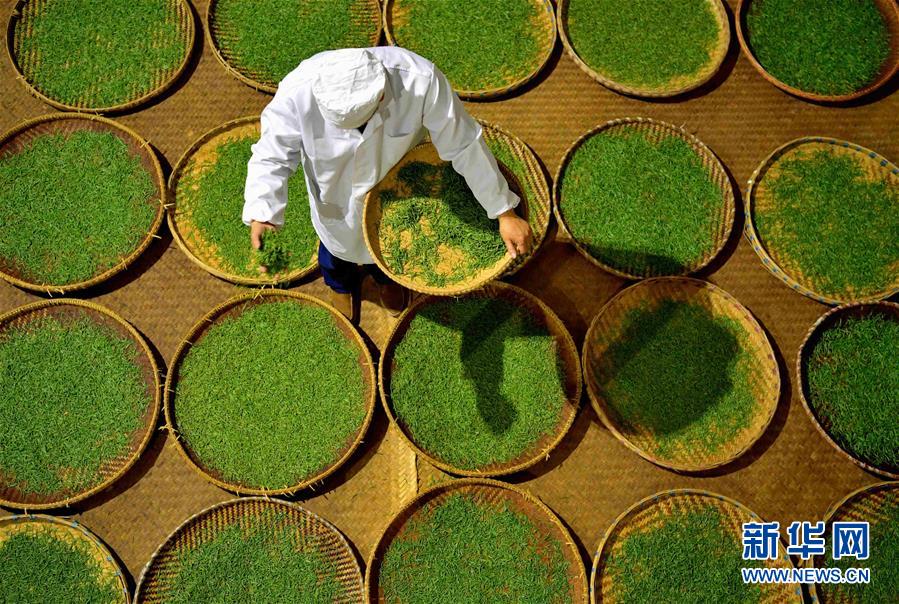 #（社會）（3）人間至味&ldquo;冷后渾&rdquo;