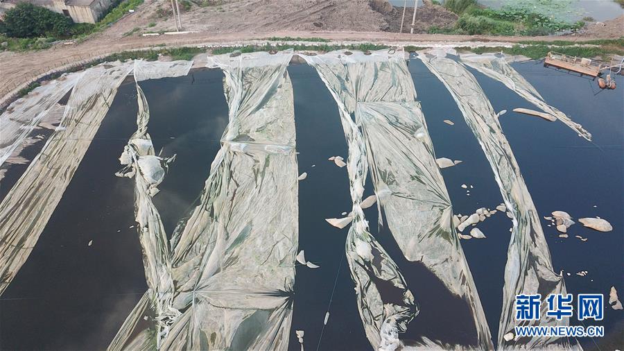 （新華視點&middot;圖文互動）（4）中央督察兩年有的絲毫未改，有的不減反增&mdash;&mdash;江蘇泰興數(shù)萬噸化工廢料和污泥堆放長江邊調查