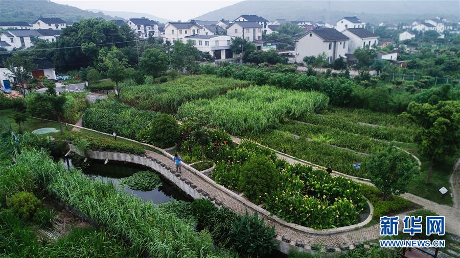 （在習近平新時代中國特色社會主義思想指引下&mdash;&mdash;新時代新作為新篇章&middot;圖文互動）（1）稀奇！治污濕地成了休閑公園&mdash;&mdash;江蘇蘇州全域推進農村生活污水治理