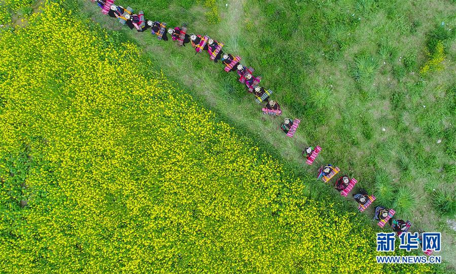 （環境）（5）白皮書：青藏高原地區仍然是地球上最潔凈的地區之一