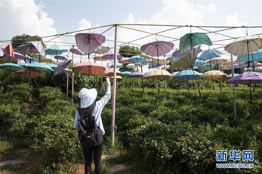 （大江奔流&mdash;&mdash;來自長江經(jīng)濟帶的報道&middot;圖文互動）（4）在這里，做一個幸福的農(nóng)民