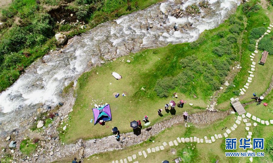 （社會）（8）夏日&ldquo;過林卡&rdquo; 親近大自然