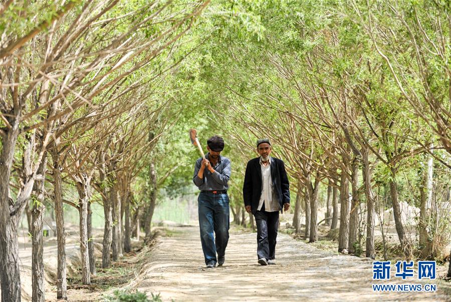 （新華全媒頭條&middot;誠信建設萬里行&middot;圖文互動）（3）一諾動昆侖&mdash;&mdash;父子半世紀接力為英雄守靈