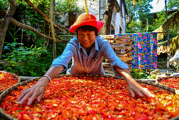 秋收的中國，你想象不到的美！但更美的是&hellip;&hellip;