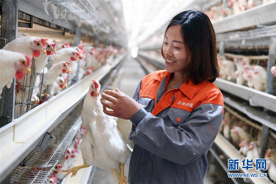 （新華全媒頭條&middot;圖文互動(dòng)）（1）希望灑在金色田野&mdash;&mdash;寫在鄉(xiāng)村振興戰(zhàn)略實(shí)施一周年之際