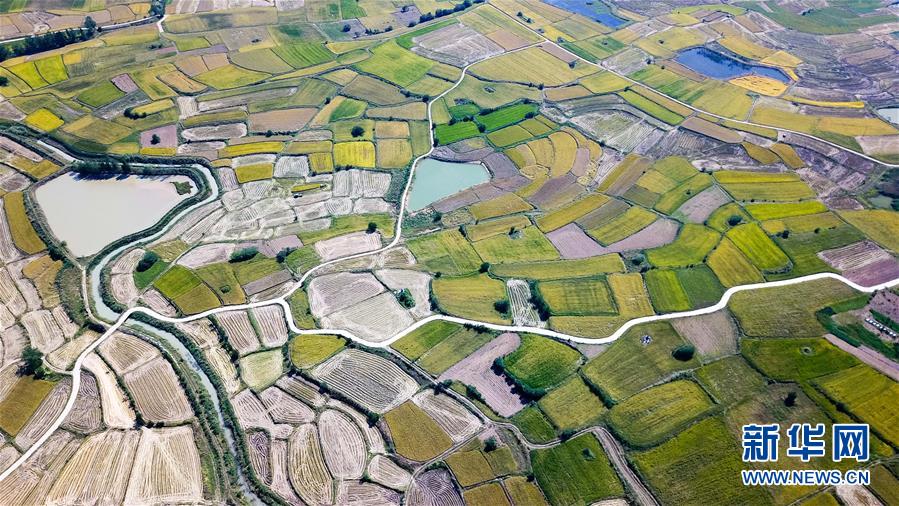 （新華全媒頭條&middot;圖文互動(dòng)）（8）希望灑在金色田野&mdash;&mdash;寫在鄉(xiāng)村振興戰(zhàn)略實(shí)施一周年之際