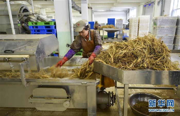 （百城百縣百企調(diào)研行&middot;圖文互動(dòng)）（5）吉林集安：邊陲&ldquo;綠色明珠&rdquo;為何如此閃亮？