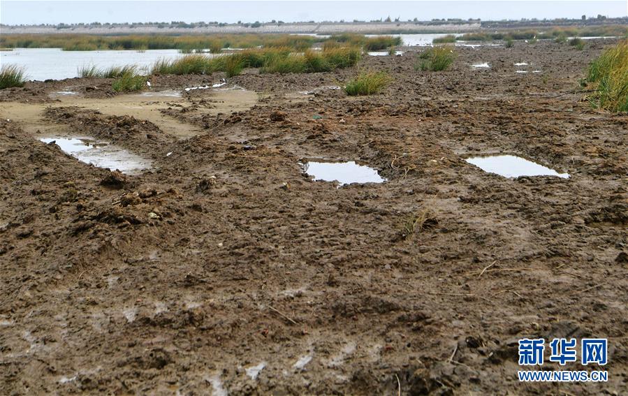 （新華視點(diǎn)&middot;圖文互動(dòng)）（2）福建10名黨員干部被問(wèn)責(zé)的背后：7部門十余次執(zhí)法未能有效制止泉州灣濕地圍墾行為