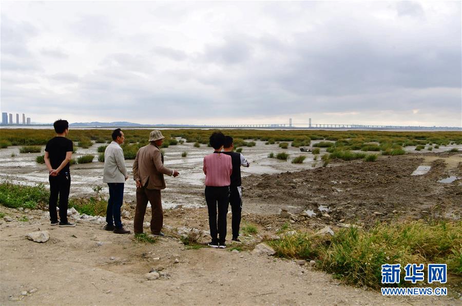 （新華視點(diǎn)&middot;圖文互動(dòng)）（5）福建10名黨員干部被問(wèn)責(zé)的背后：7部門十余次執(zhí)法未能有效制止泉州灣濕地圍墾行為