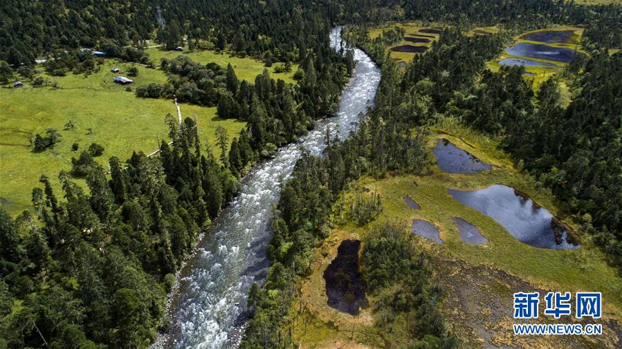 （百城百縣百企調研行&middot;圖文互動）（1）西藏米林縣的綠色富裕路