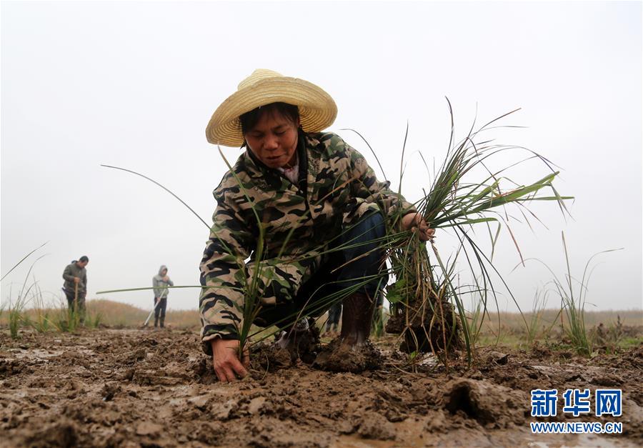 （新華視點&middot;回望2018&middot;圖文互動）（3）2018年新華社曝光多起破壞生態事件，記者年底追訪發現&hellip;&hellip;