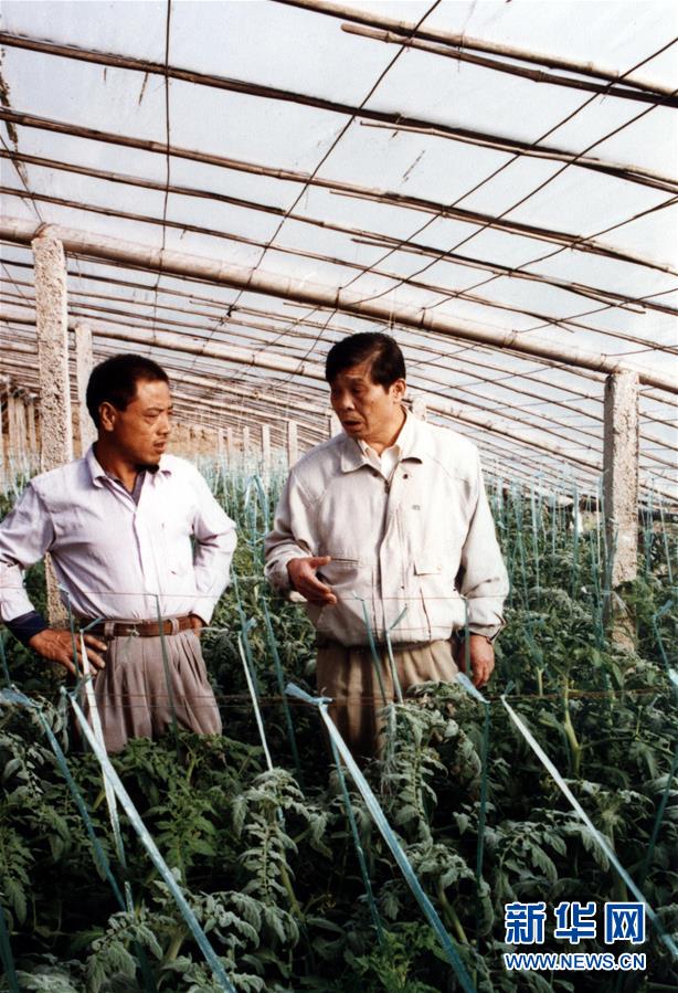 （改革先鋒風(fēng)采&middot;圖文互動(dòng)）（1）王伯祥：山東壽光蔬菜產(chǎn)業(yè)的推動(dòng)者 